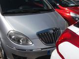 Lancia MUSA 1.4 8V Ecochic (GPL) Platinum - 09 - Lancia MUSA: Platinum