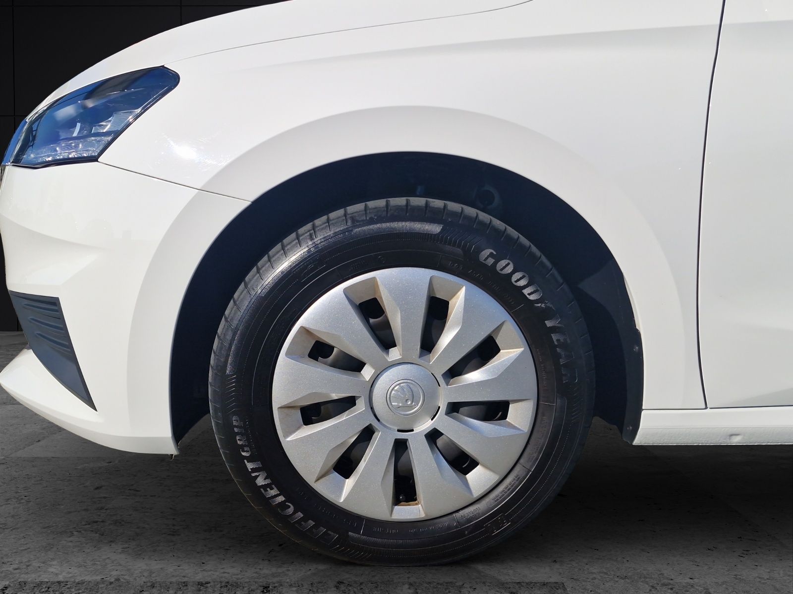 Fahrzeugabbildung SKODA Fabia Active 1.0 LED SH