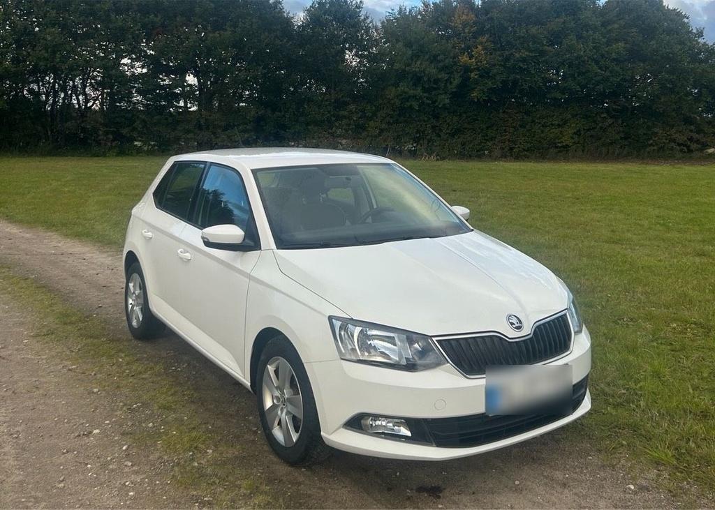 Skoda Fabia Ambition Benzin Bj. 2016 Weiß ...