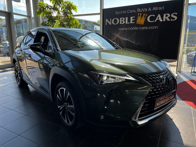Lexus UX 250 h Style Edition AHK RFK Full Link LED