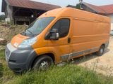 Fiat Ducato - Fiat Ducato aus 2012
