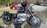 Harley-Davidson 883 Sportster  - Offers matching your search criteria