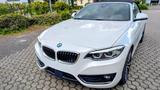 BMW 220i Steptronic Cabrio Sport , Navi,SHZ, Automat - BMW 220 in Bonn