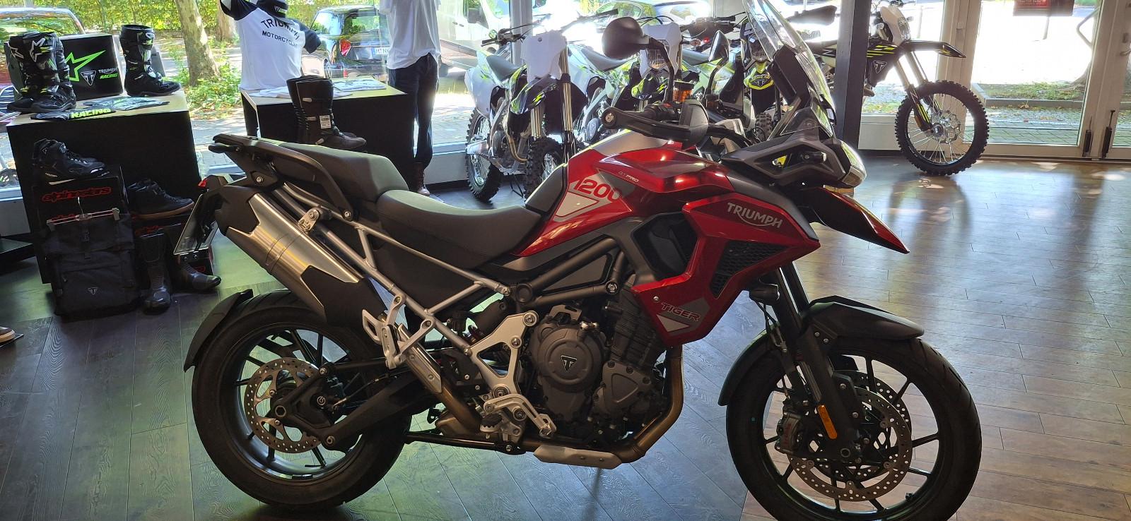 Triumph Tiger 1200 GT PRO NEUZUGANG TOP