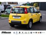Fiat Panda Hybrid 1.0 GSE NEUES MODELL 2024 CITY TEMP - Fiat Panda: Gelb