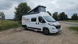 Roller Team Livingstone Duo XL sport - Offers