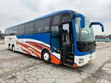 MAN R08 Lions Coach  - Angebote