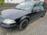 Volkswagen Passat 3BG, Bastler oder Export - Volkswagen Passat: Oder