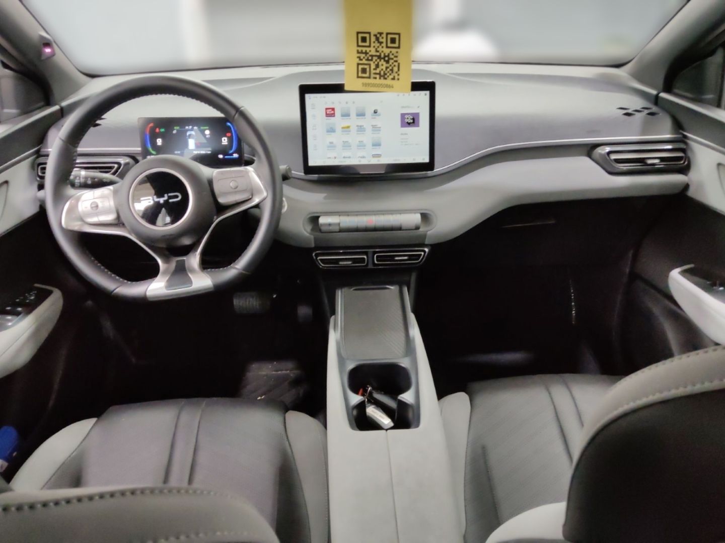 BYD DOLPHIN SURF