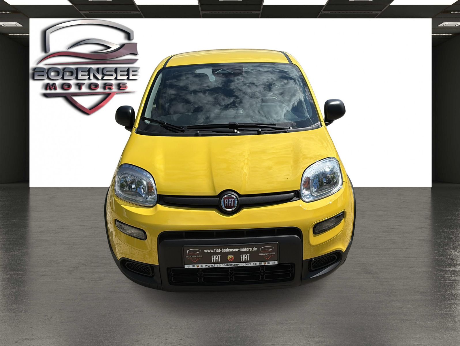 Fahrzeugabbildung Fiat Panda Pandina