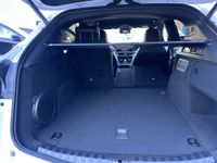 Alfa Romeo Stelvio - Vorschau Bild 16