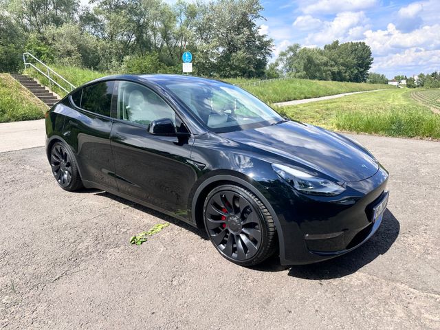 Tesla Model Y Performance Dual Motor AWD Performance