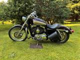 Harley-Davidson XL 1200 Custom Sportster - HARLEY-DAVIDSON 2007 SPORTSTER 1200