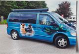 Mercedes-Benz Van Camper Mercedes Vito - Mercedes-Benz Vito mit Benzin-Antrieb: Kleinbus