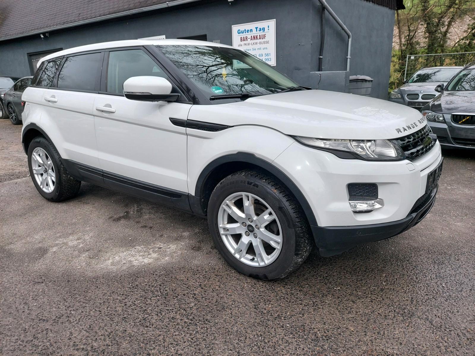 Land Rover Range Rover Evoque 2.2 Pure 4x4&Navi&Leder&RFK