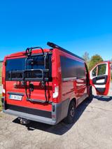 Peugeot Boxer - Peugeot Kastenwagen