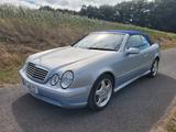 Mercedes-Benz CLK 320 Cabrio Elegance AMG-Paket, sehr gepflegt - Mercedes-Benz: Clk AMG Paket