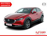 Mazda CX-30 2.0 M-Hybrid Selection LED Navi Kamera AHK - Mazda Gebrauchtwagen in Dresden