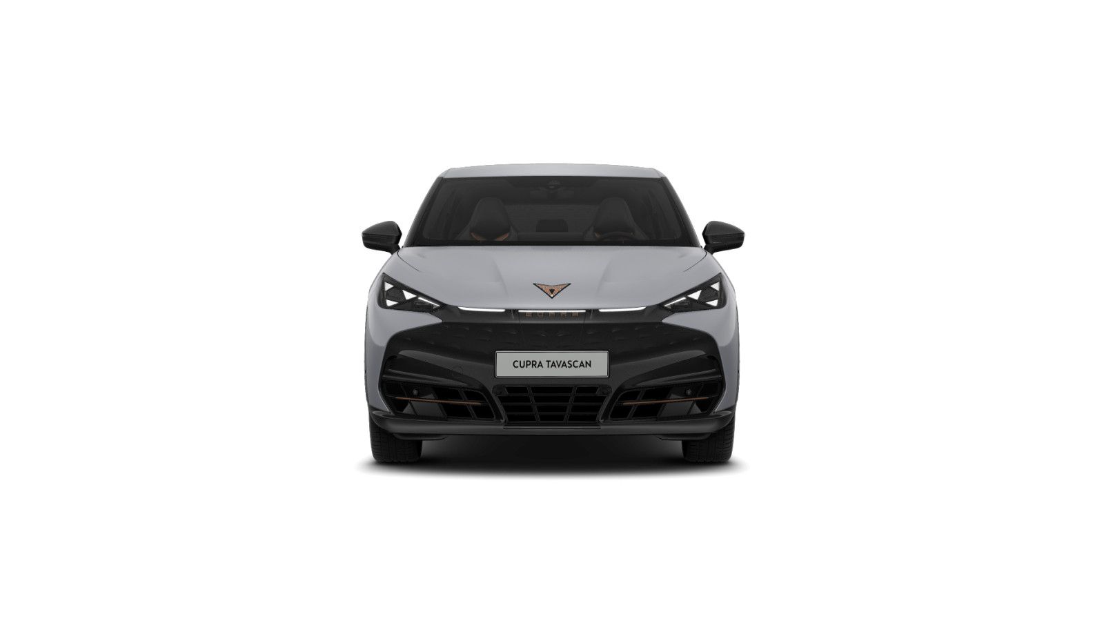 Cupra Tavascan - Bild 4