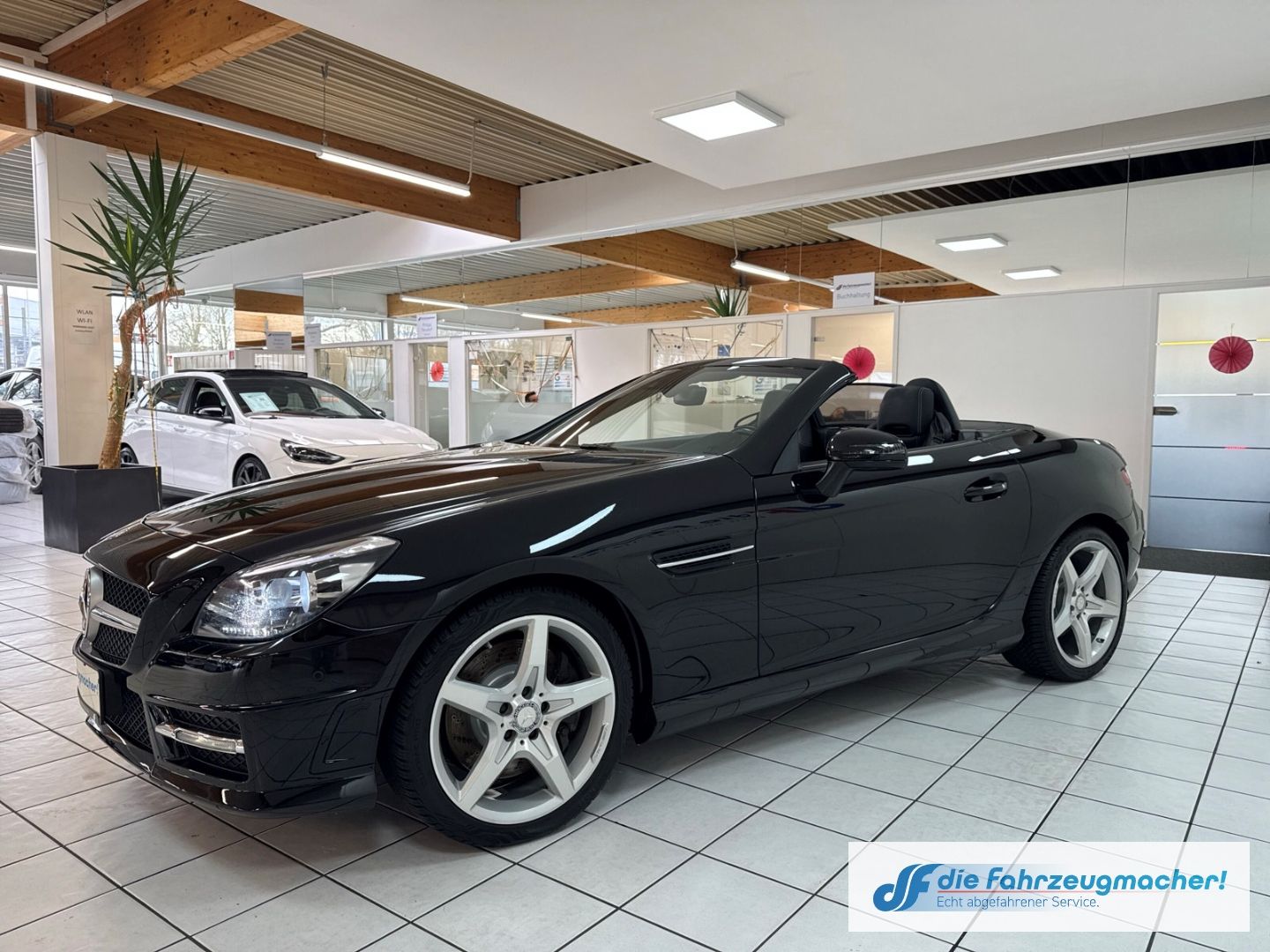 Fahrzeugabbildung Mercedes-Benz SLK 250 Roadster CDI BlueEFFICIENCY Sportpaket