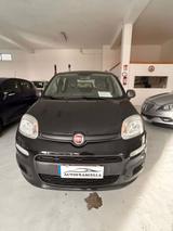 Fiat Panda 1.2 Young - Fiat Panda Young mit Benzin-Antrieb