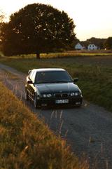 BMW E36 323/325I - BMW 323 aus 1995