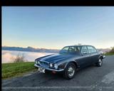 Jaguar XJ Sovereign H.E. 1984 - Jaguar XJS von privat