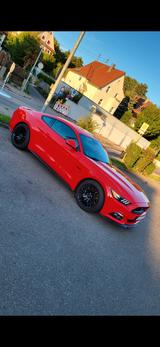 Ford Mustang 5.0 Ti-VCT V8 GT GT - Ford Mustang in Stuttgart