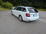 Skoda Octavia 2.0 TDI DSG ACC Business-Paket Combi - Skoda Octavia: Business