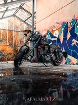 Harley-Davidson FXDR Softail Jekill Thunderbike Breakout Fat Boy - HARLEY-DAVIDSON THUN