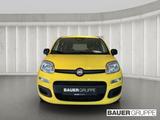 Fiat Panda 1.0 GSE * * PDC * TOP PREIS * ABS Airbag E - Fiat Panda Neuwagen mit Benzin-Antrieb