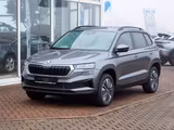 Skoda Karoq DSG Smart Link Kamera Navi AHK - Skoda Karoq