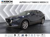 Mazda CX-30 2.5 140 6AT FWD Exclusive-line ACC 360 SHZ - Mazda CX-30: Exclusive Line