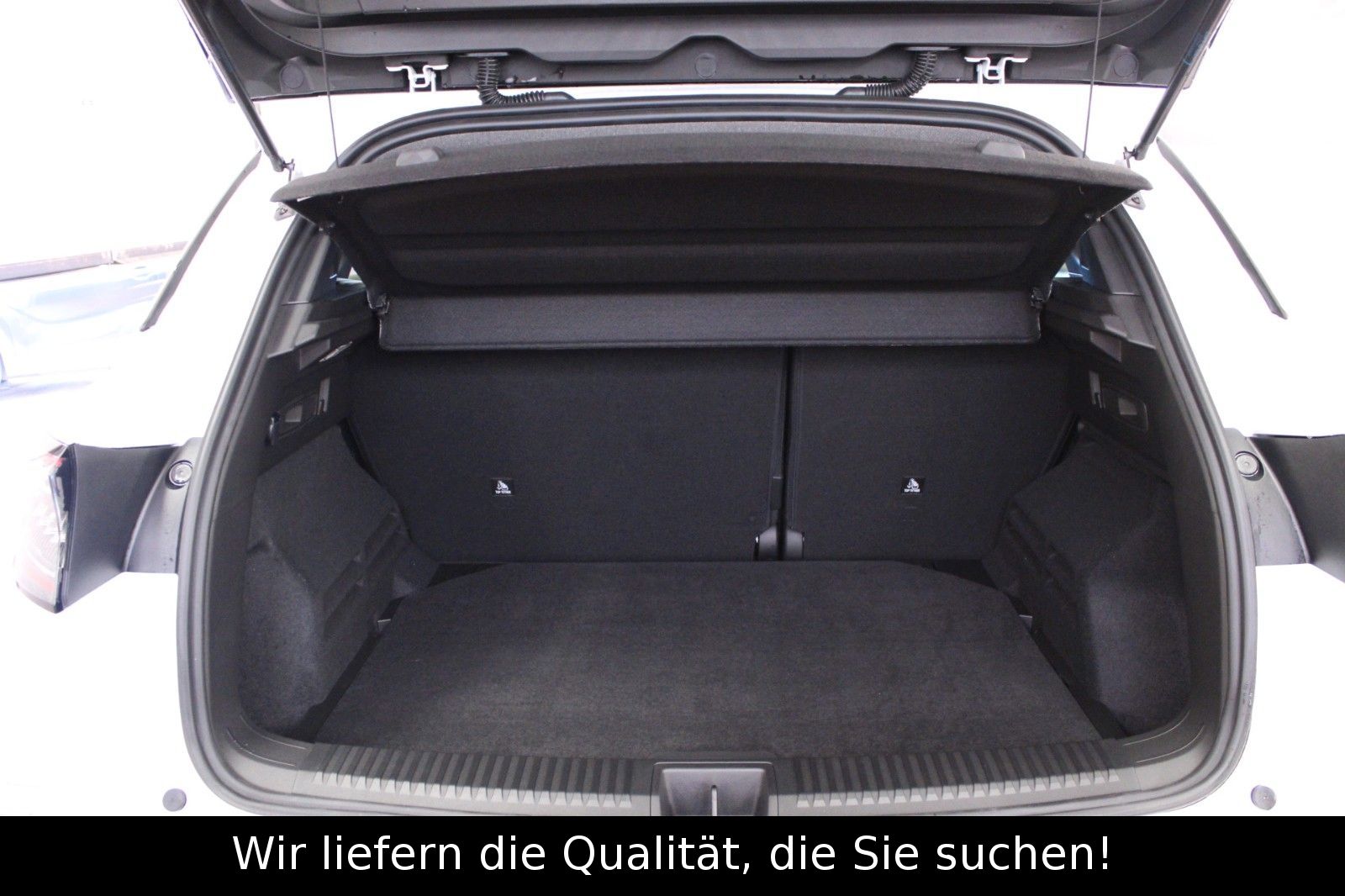 Fahrzeugabbildung Renault Austral Mild Hybrid 160 Techno Automatik