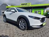 Mazda CX-30 2.0SKYACTIV-G Selection+LED+NAVI+TEMPO+PDC - Mazda CX-30 in Dresden
