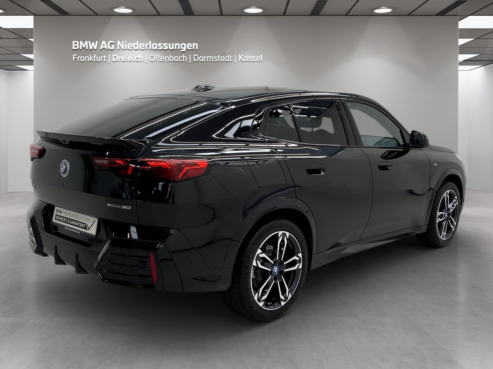 BMW iX2 xDrive30 M Sport AHK Driv.Assist.Prof LED foto 4