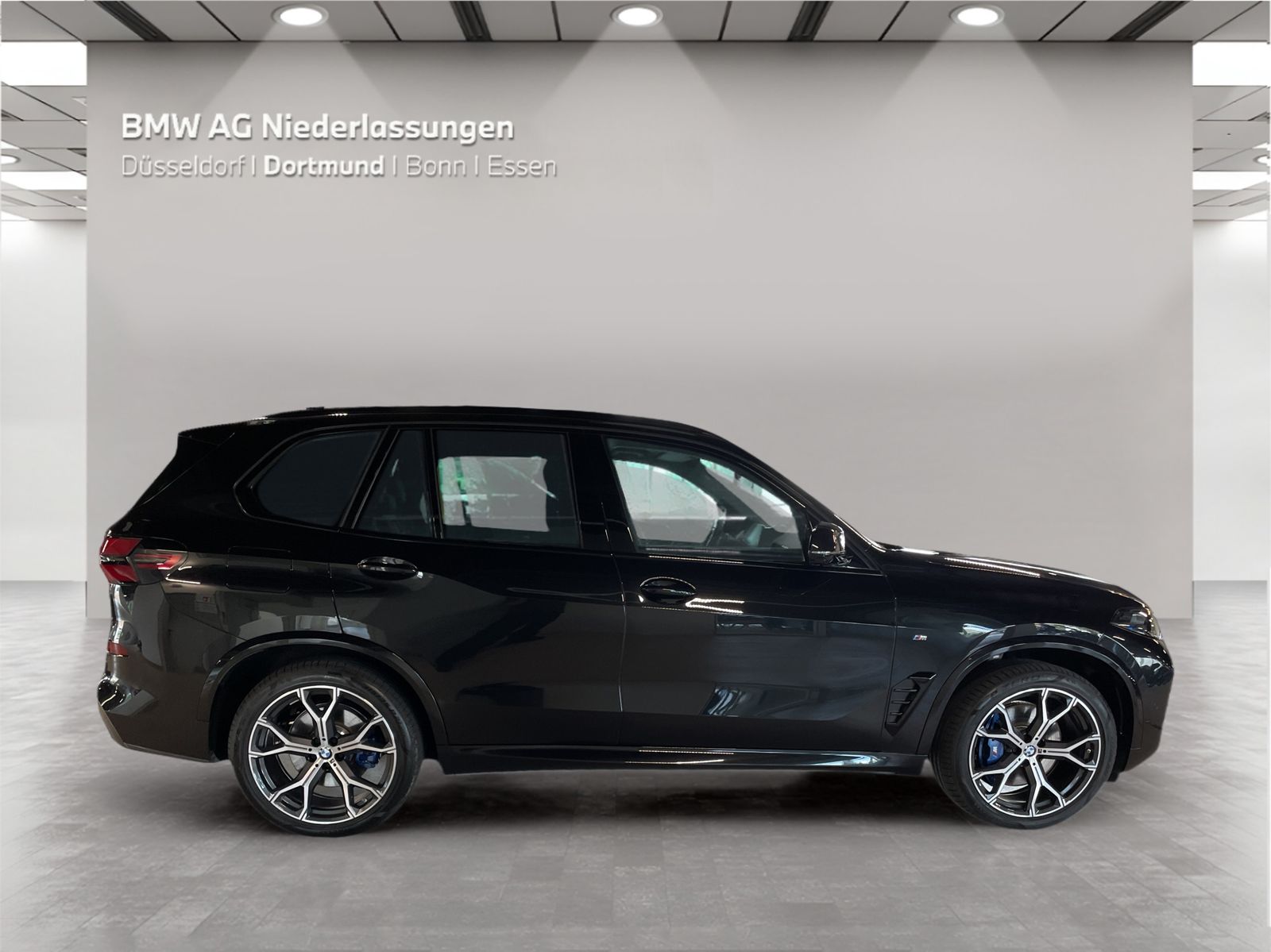 BMW X5 xDrive40d M Sport AHK Driv.Assist.Prof LED foto 4