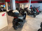 Honda Forza 350 2026 Falcon Gray *sofort verfügbar* - HONDA 350