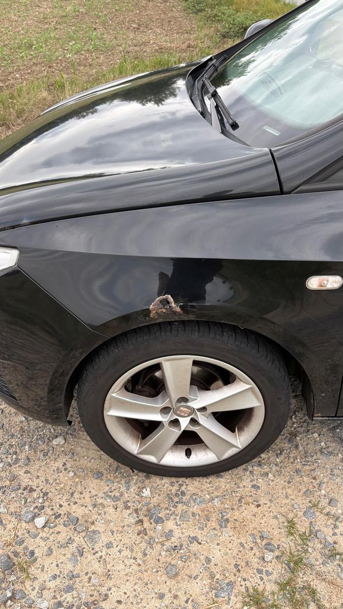 Seat Ibiza 2011 — photo 11