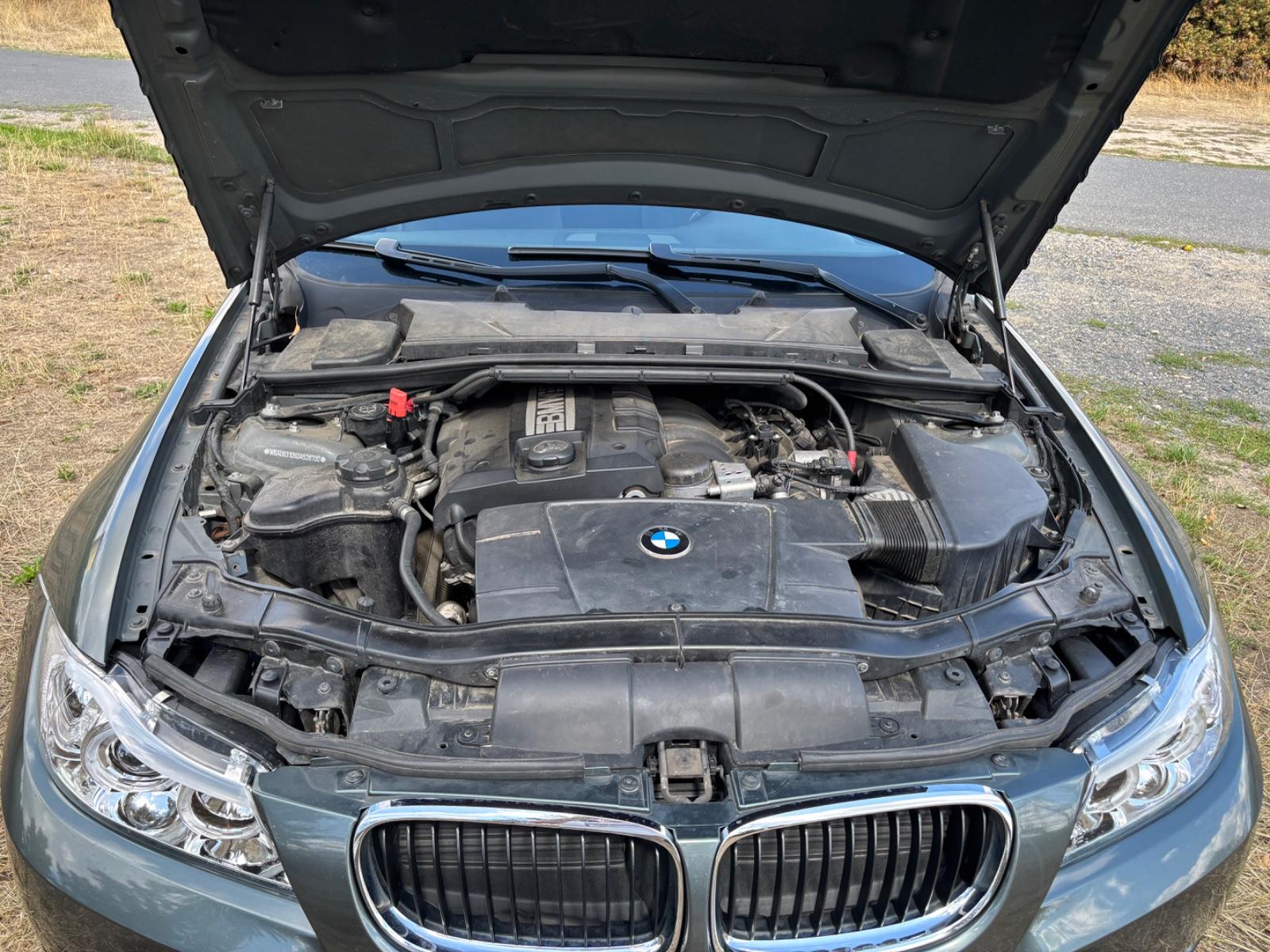 BMW 318 2009 — photo 12