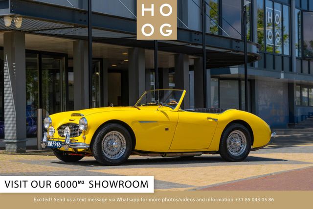 Austin Healey 100-6 100/6