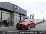 Mazda 2 SKY-G SPORTS-LINE+NAV+TEC-P+8FACH !! - Mazda 2: Sport