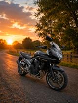Suzuki GSF1250 Bandit  - SUZUKI GSF BANDIT 1250