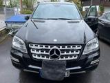 Mercedes-Benz ML 500 4MATIC - - Mercedes-Benz ML 500 von privat