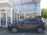 Mazda CX-30 Takumi 2,5l Leder Schwarz Garantie - Mazda CX-30 Takumi mit Hybrid-Antrieb (Benzin/Elektro)