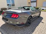 Ford MustangConvertible 2.3 Eco*Kamera*Navi*SHZ/LFT* - Ford Mustang: 3.3