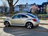 Volkswagen Beetle Automatik Leder Panoramadach Sitzheizung - Volkswagen Beetle: Limousine