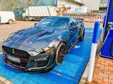 Ford Mustang GT500 Shelby umbau 5.0L V8 S550 - Ford: F550