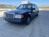 Mercedes-Benz E 200D/W124/2. Hand - Mercedes-Benz mit Diesel-Antrieb: W124