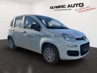Fiat Panda MY25 Hybrid 1.0 GSE KLIMA TOUCH DAB PDC BT - Image